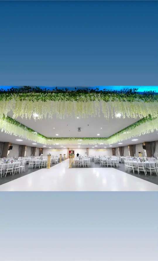 Modern Avize Model 24