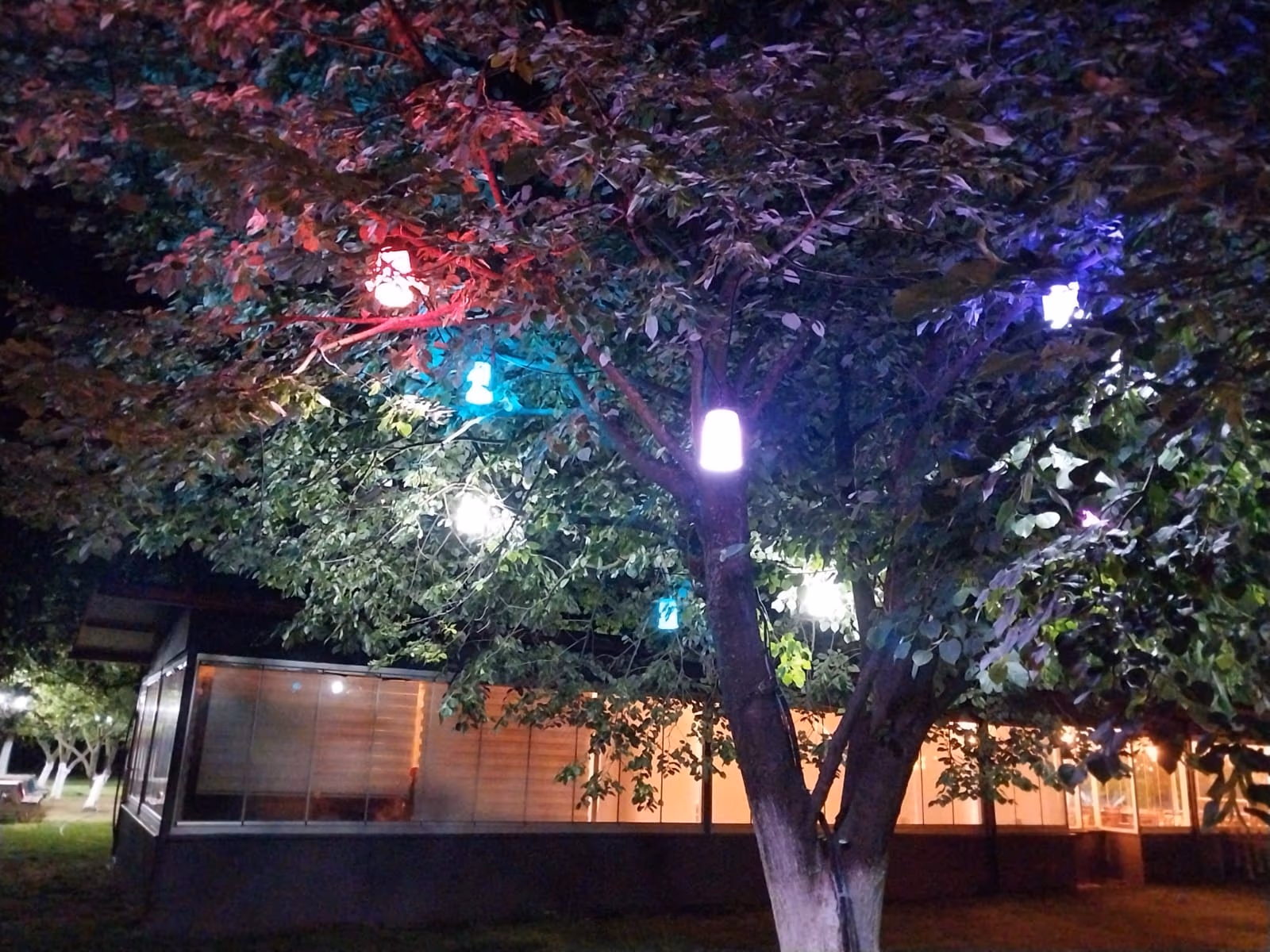 Renkli Bahçe Peyzaj Aydınlatması