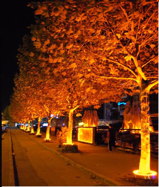 Cadde ve Site Yolu Aydınlatması